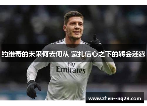 约维奇的未来何去何从 蒙扎信心之下的转会迷雾