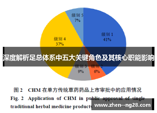 深度解析足总体系中五大关键角色及其核心职能影响 深度解析足总体系中五大关键角色及其核心职能影响