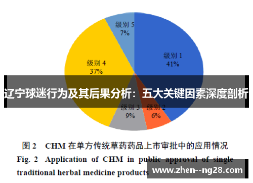 辽宁球迷行为及其后果分析:五大关键因素深度剖析 辽宁球迷行为及其后果分析:五大关键因素深度剖析