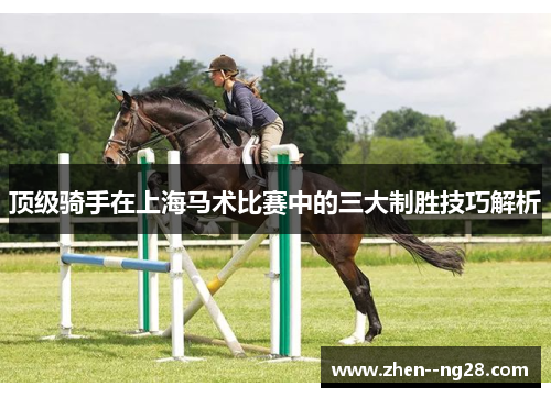 顶级骑手在上海马术比赛中的三大制胜技巧解析