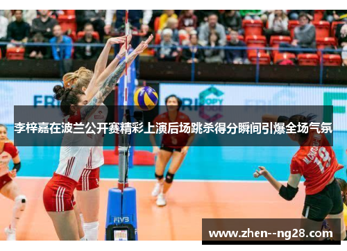 李梓嘉在波兰公开赛精彩上演后场跳杀得分瞬间引爆全场气氛