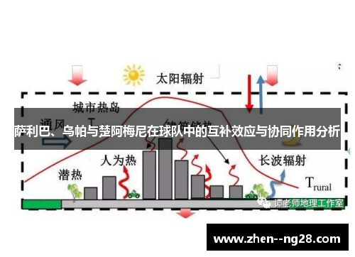 萨利巴、乌帕与楚阿梅尼在球队中的互补效应与协同作用分析